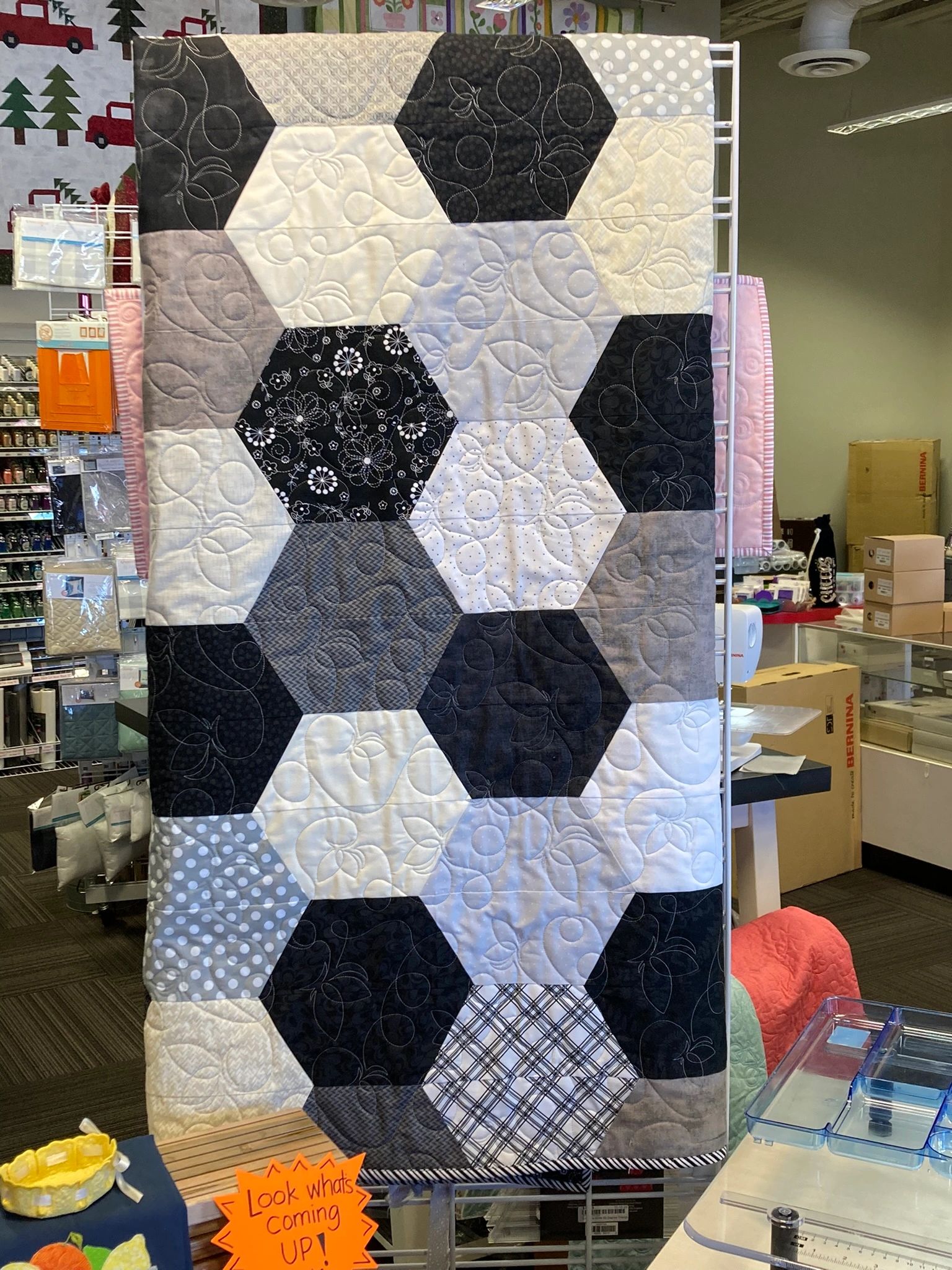 Quilt project 12